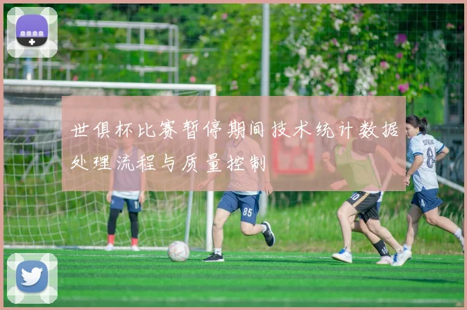世俱杯比赛暂停期间技术统计数据处理流程与质量控制