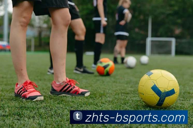 B体育BsportsAPP 封面图